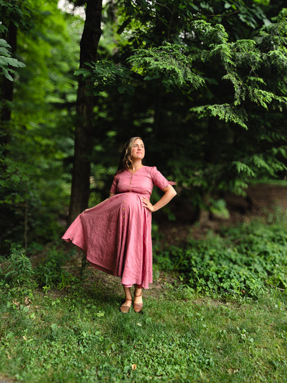 Briar Rose ~ Hearthside Dress