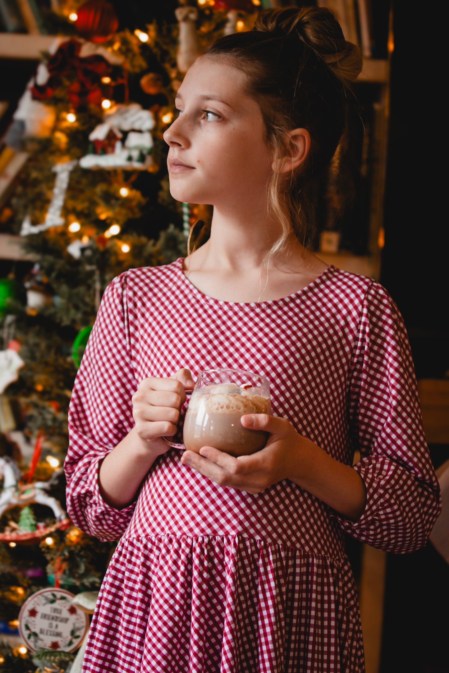 Cranberry Gingham ~ Novella Dress