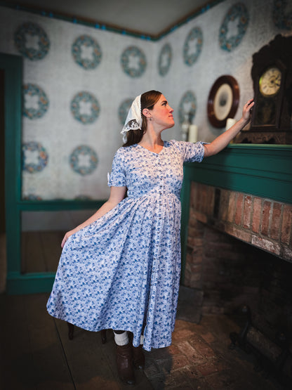 Bluebell Pastures ~ Hearthside Dress