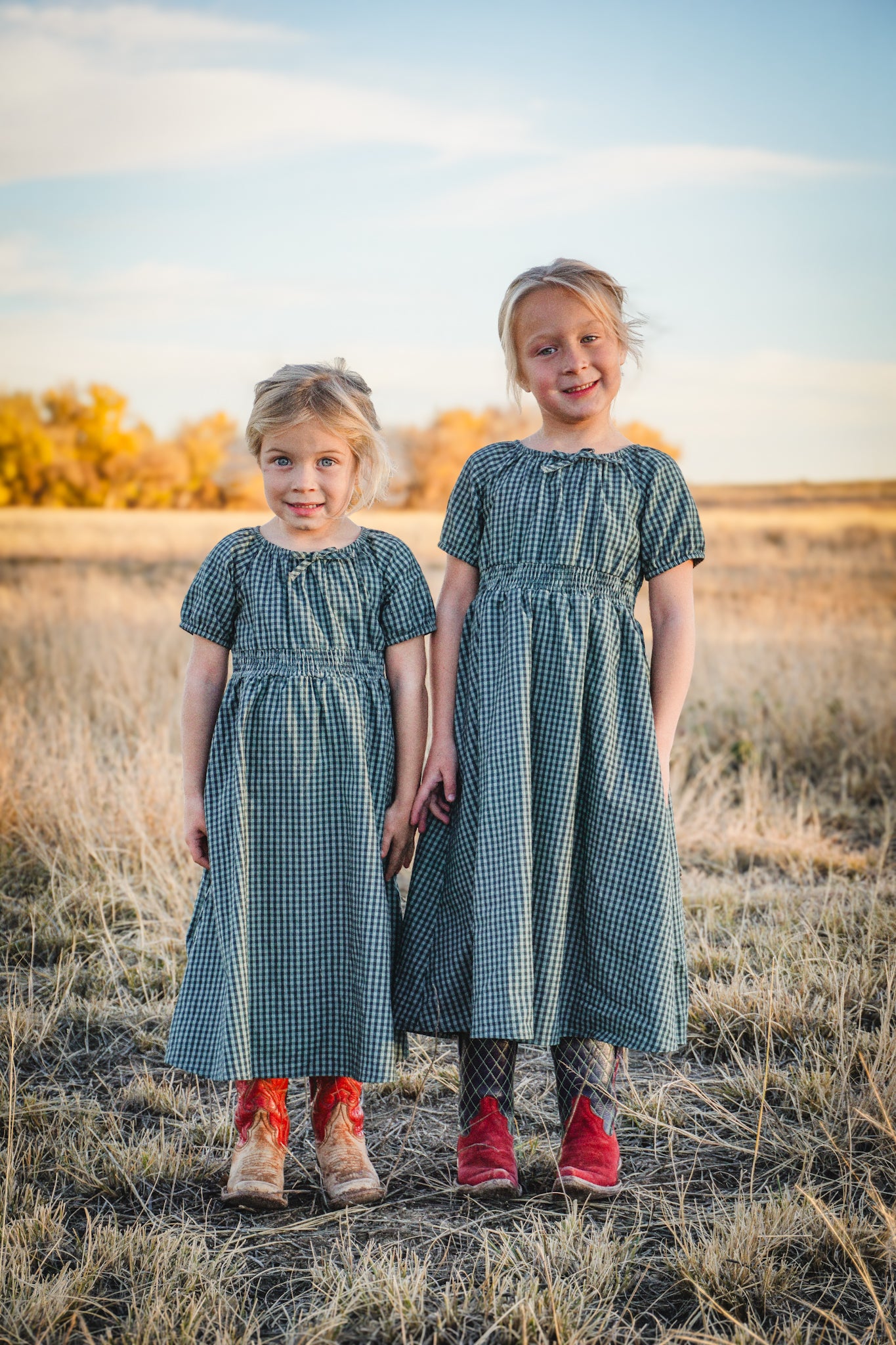 bluebell gingham mini dress Spruce Gingham ~ Mini Folklore
