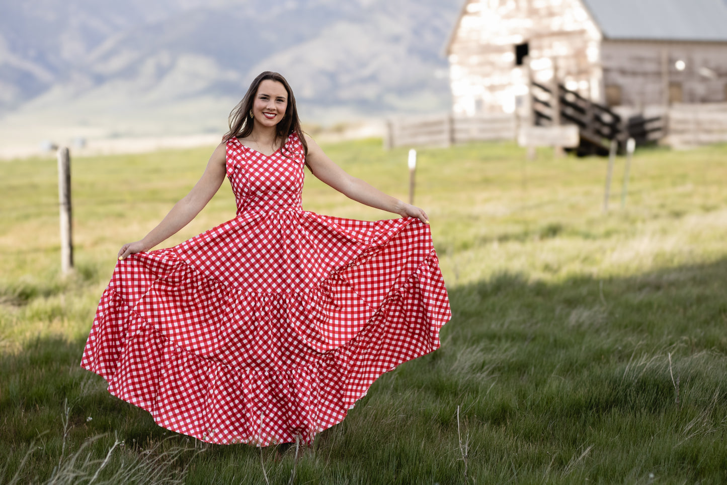 Grenadine Gingham ~ Lenora Dress