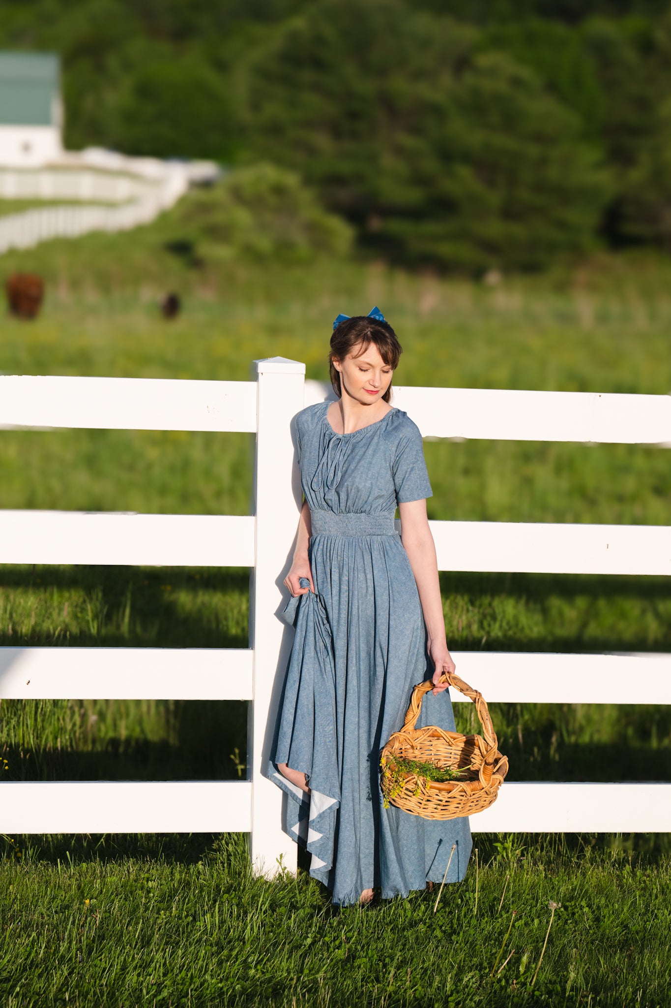 Shenandoah Chambray ~ Folklore Maxi
