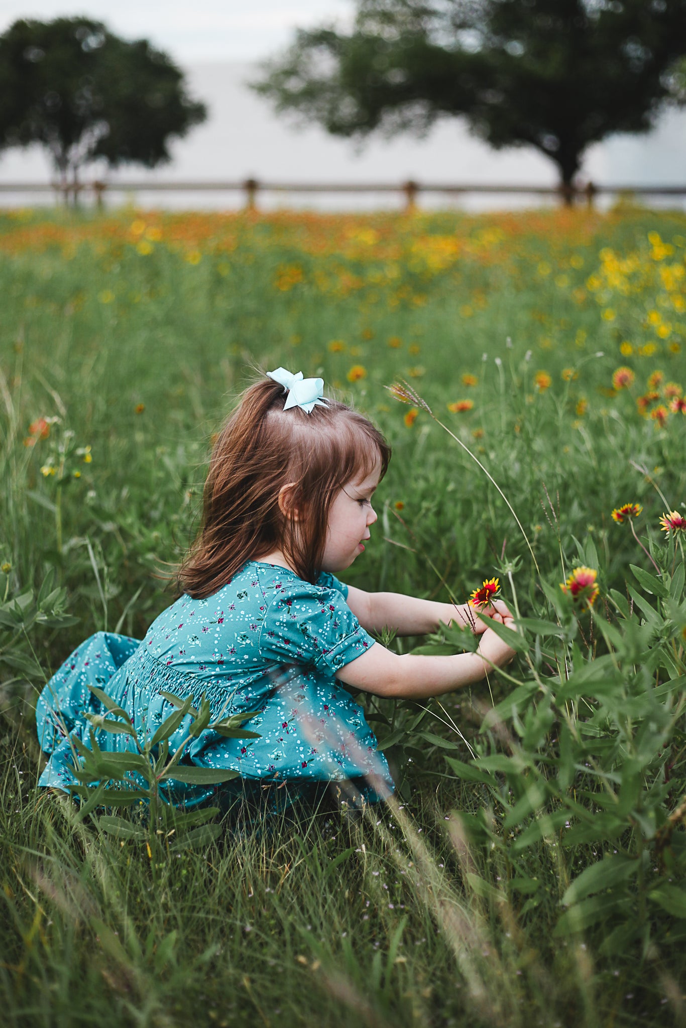 Thistledew ~ Mini Laureate Dress