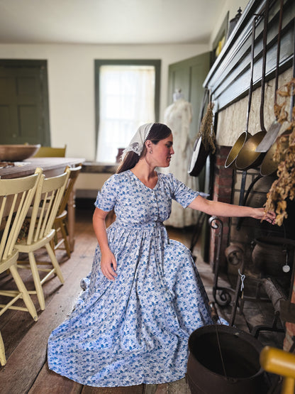 Bluebell Pastures ~ Hearthside Dress