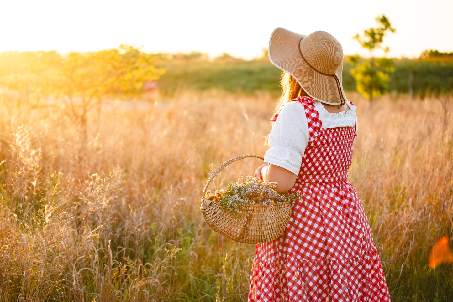 Grenadine Gingham ~ Lenora Dress