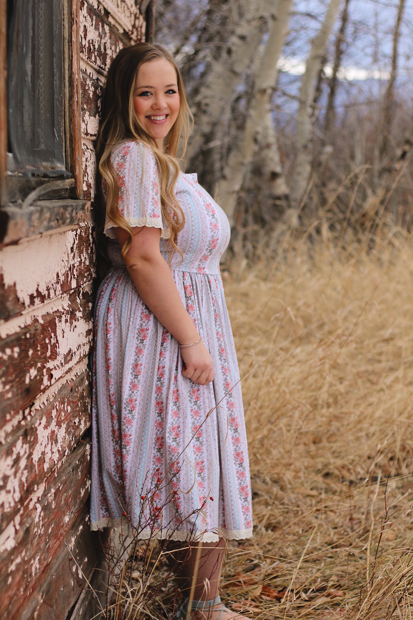 Rosemont Tapestry ~ Windermere Dress