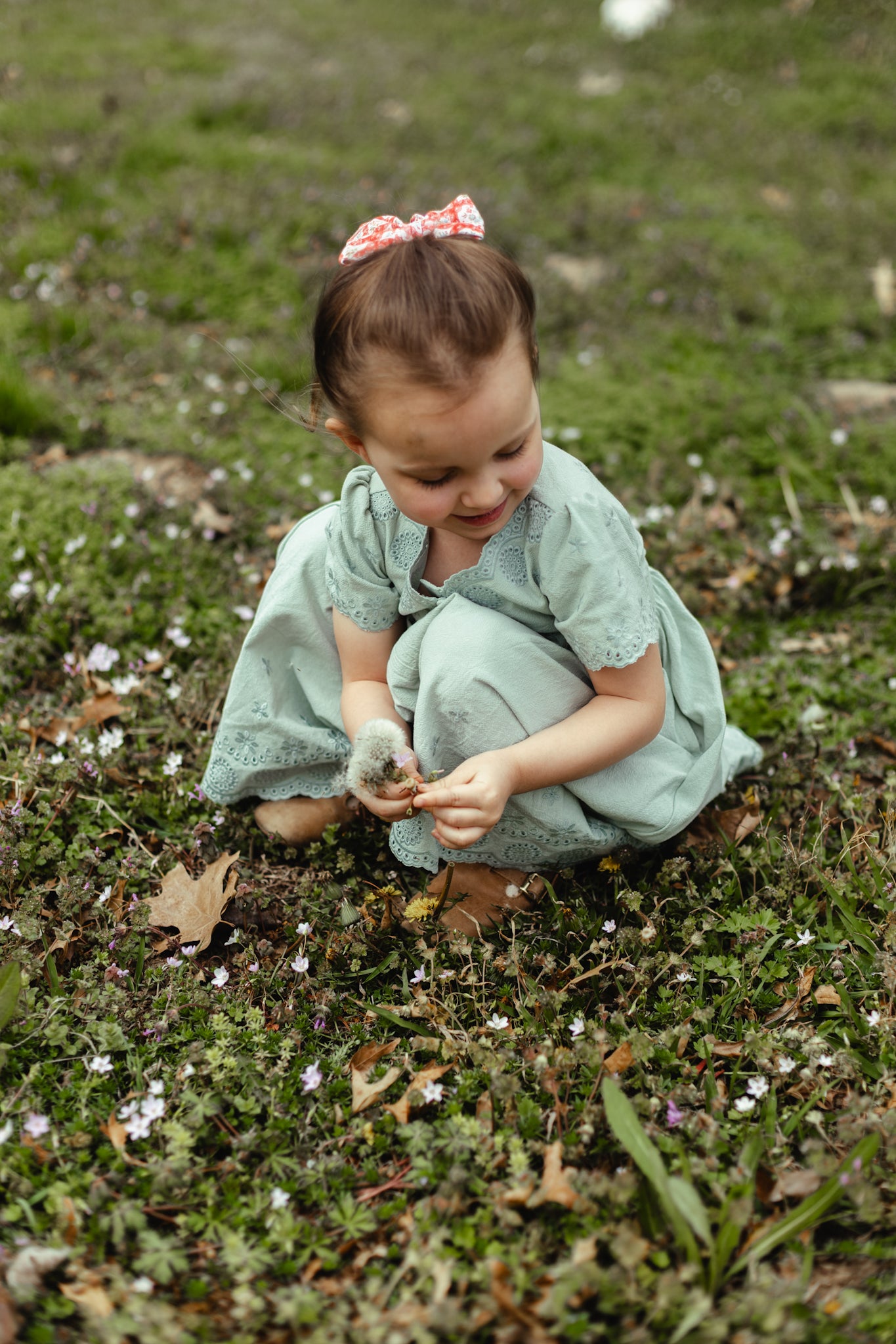 Willow ~ Mini Psalmfield Dress