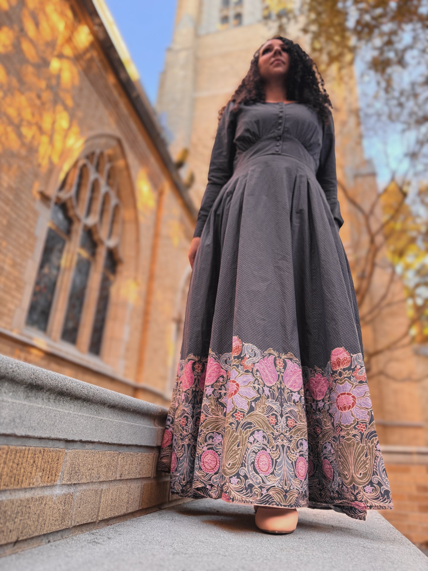 Noirette ~ Meadowcourt Dress