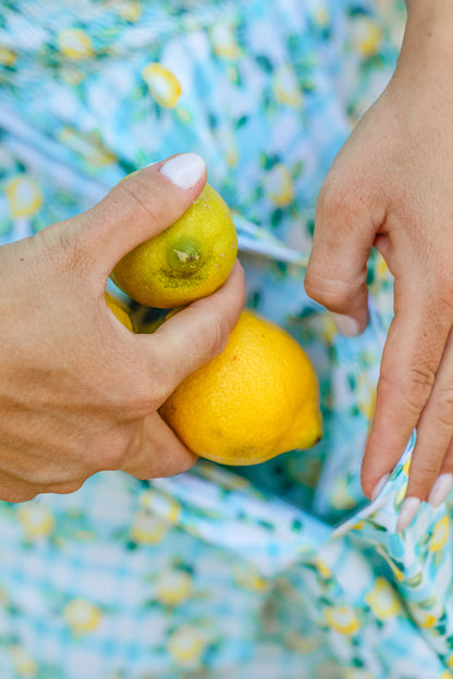 Little Lemon Gingham ~ Keepsake Midi