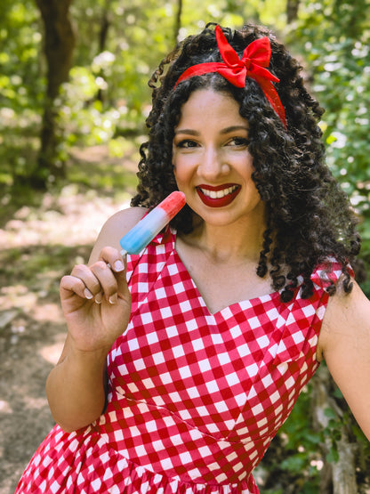 Grenadine Gingham ~ Lenora Dress