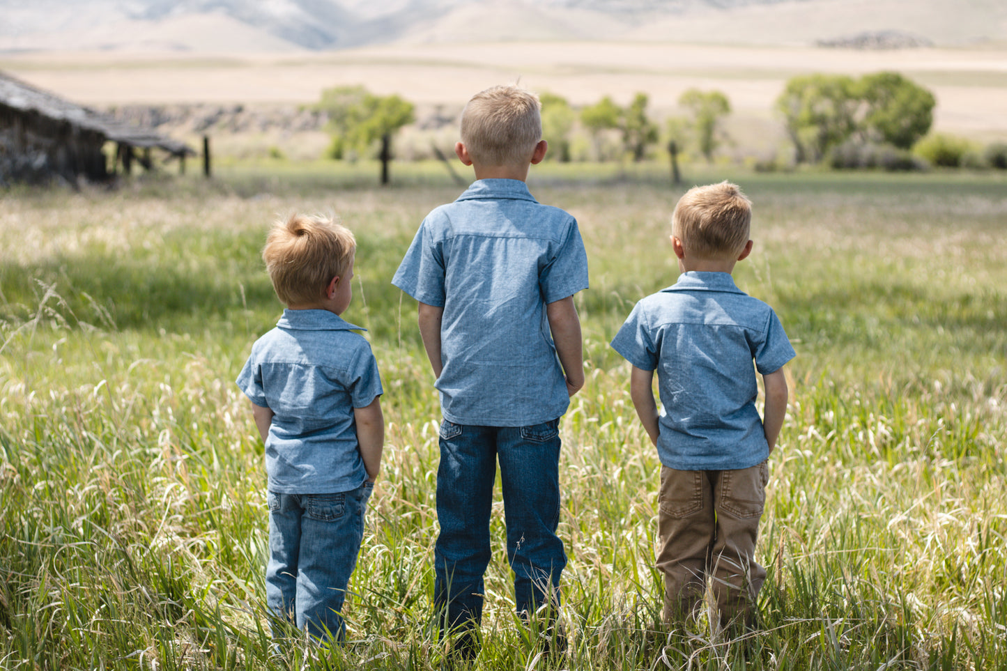 Shenandoah Chambray ~ Brave Button-up