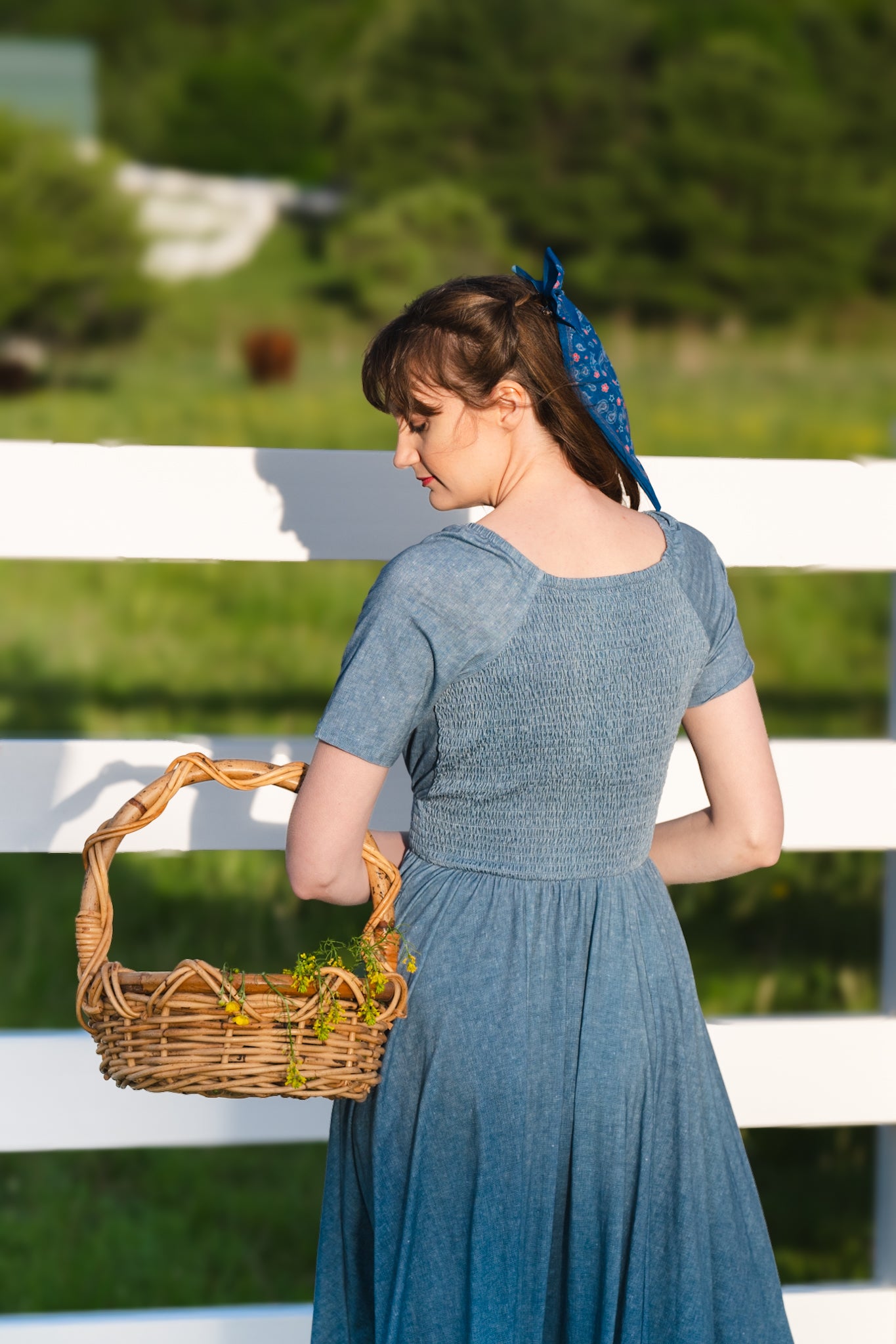 Shenandoah Chambray ~ Folklore Maxi