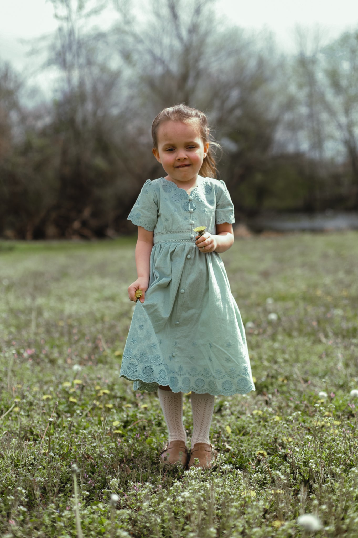 Willow ~ Mini Psalmfield Dress