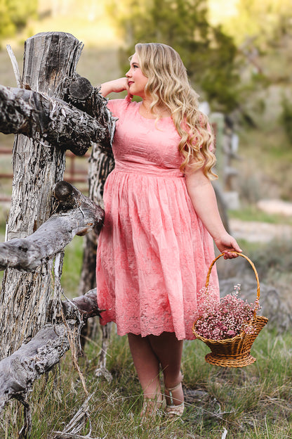 Apricity ~ Everine Dress