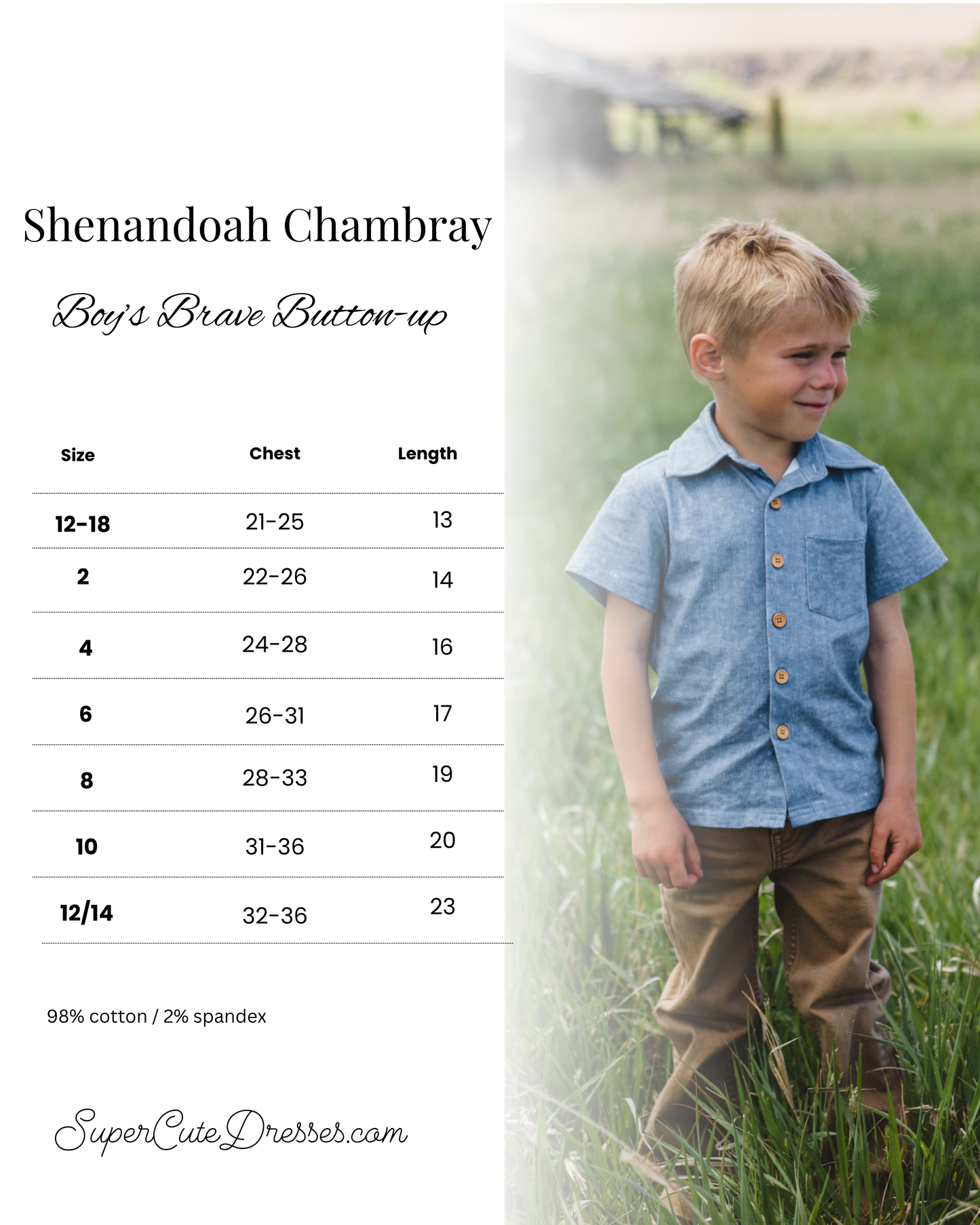 Shenandoah Chambray ~ Brave Button-up