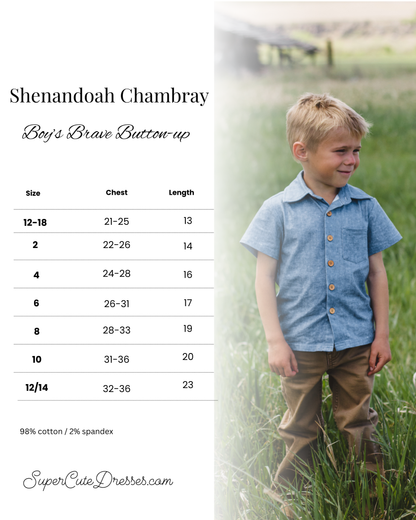 Shenandoah Chambray ~ Brave Button-up