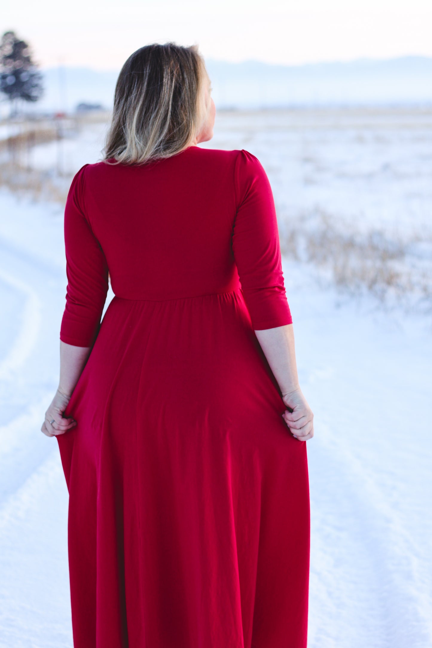 Cardinal ~ Faye Dress