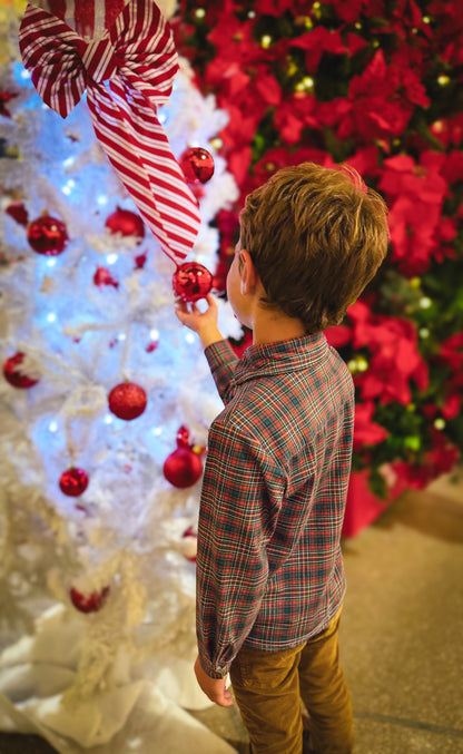 Highland Heritage ~ Boy’s Brave Button-up