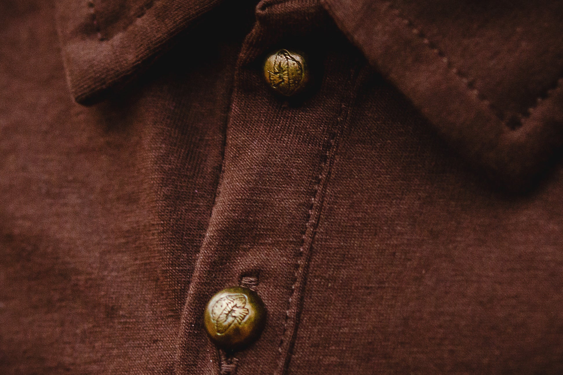 Brown polo detail with gold buttons