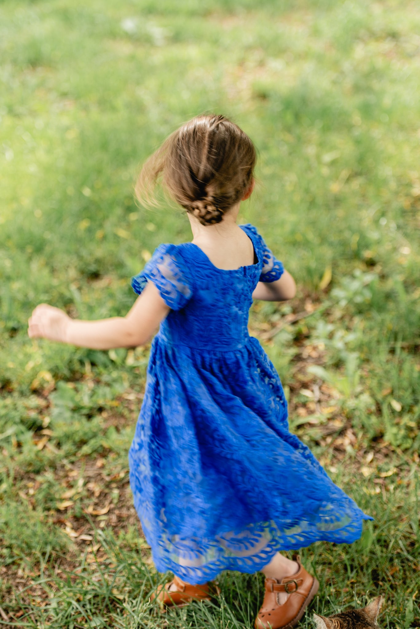 Sapphira ~ Mini Everine Dress