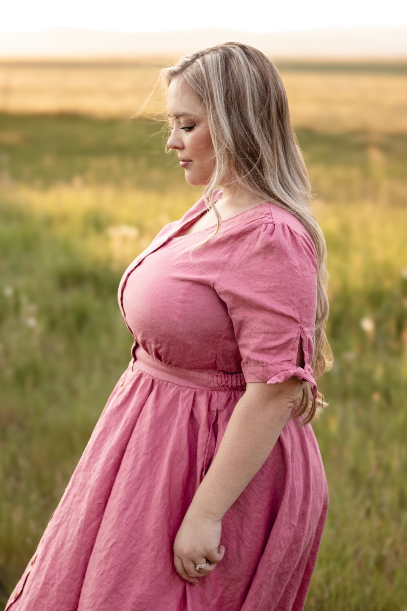 Briar Rose ~ Hearthside Dress