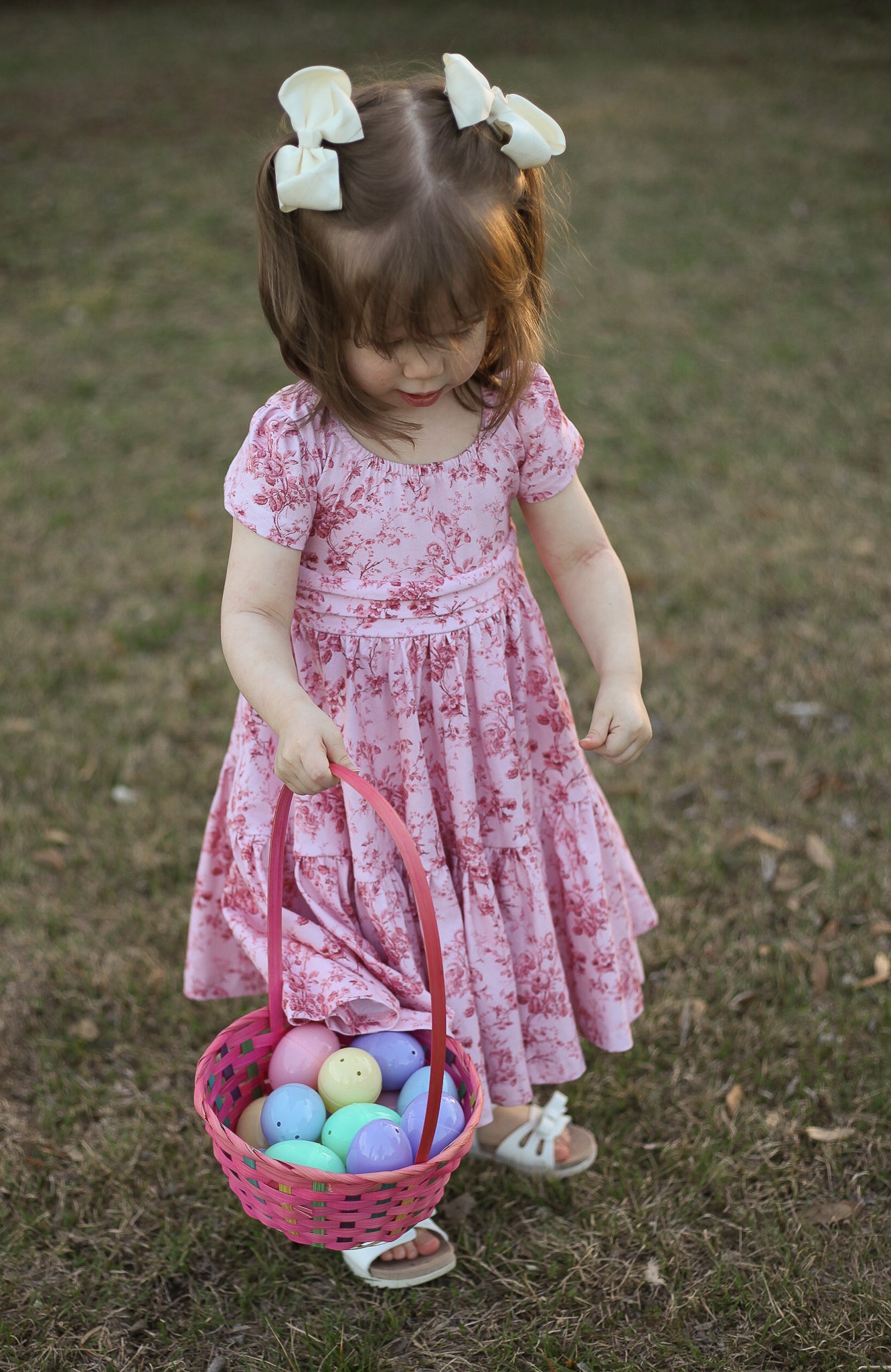 Tearose Toile ~ Mini ~ Laureate Dress