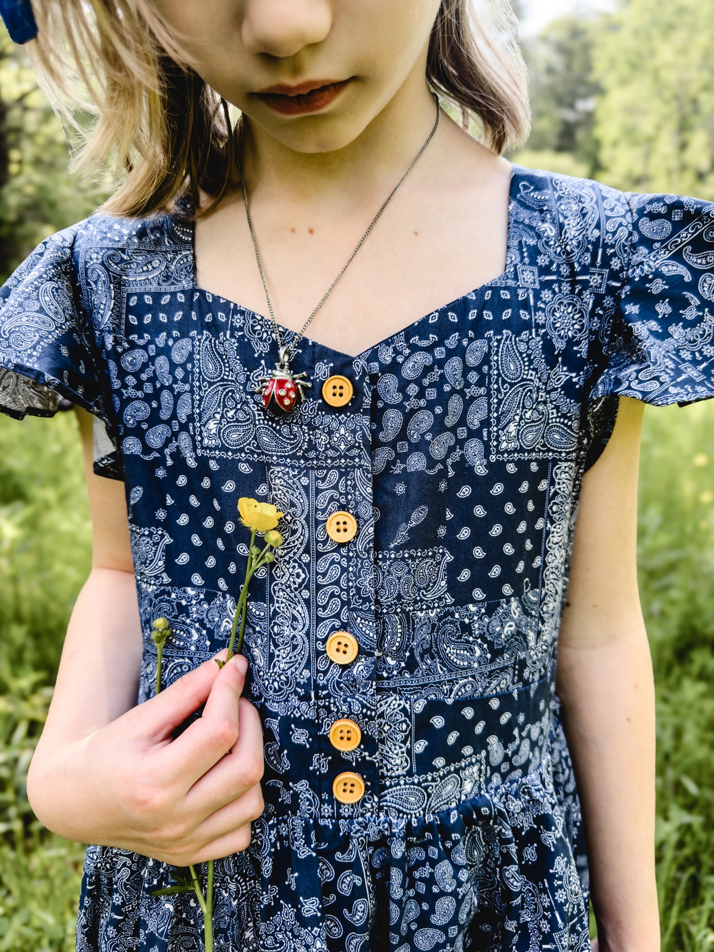 Frontier Fable ~ Mini Keepsake Dress