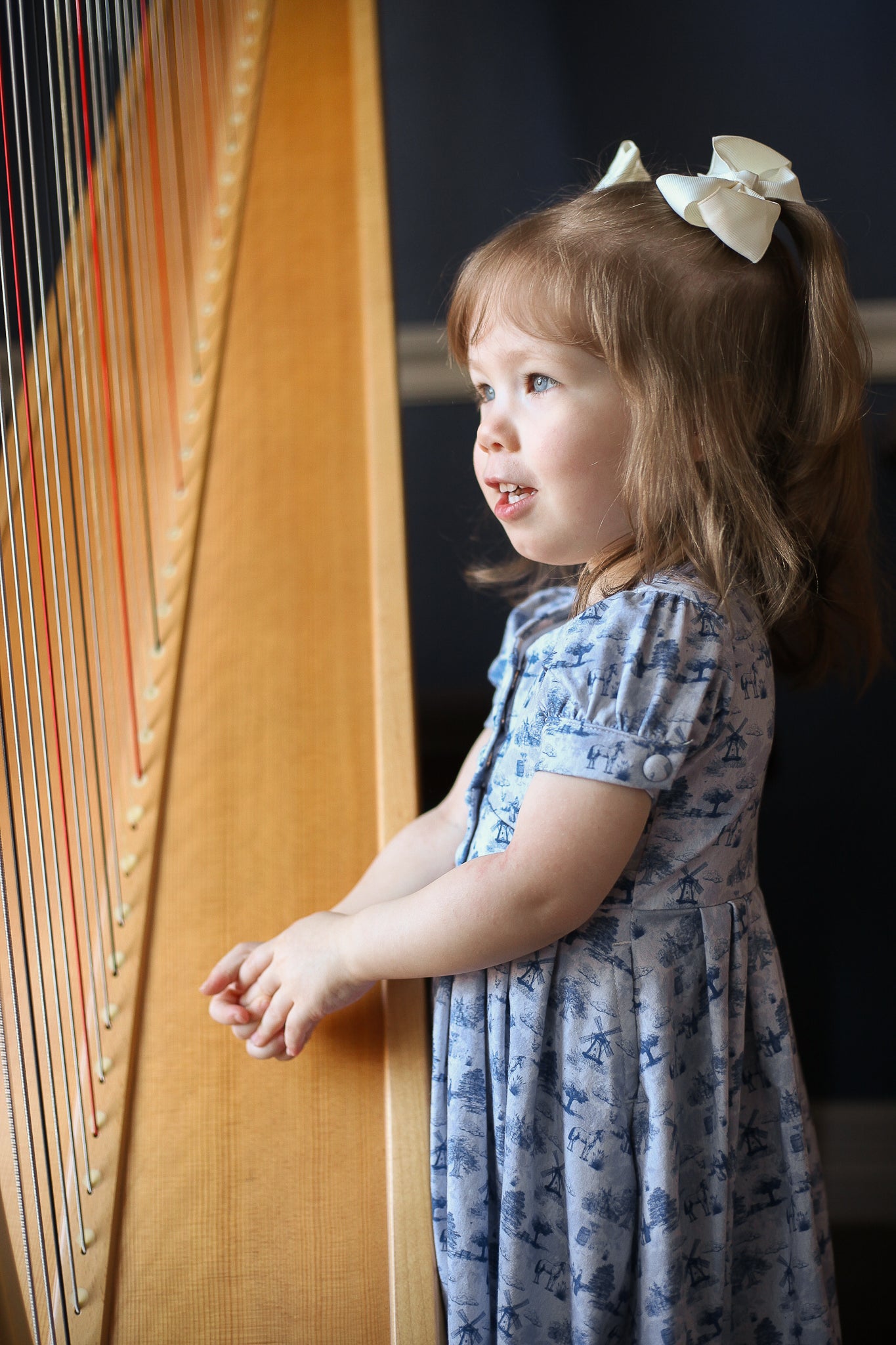 Bluebell Pastures ~ Mini Meadowcourt Dress