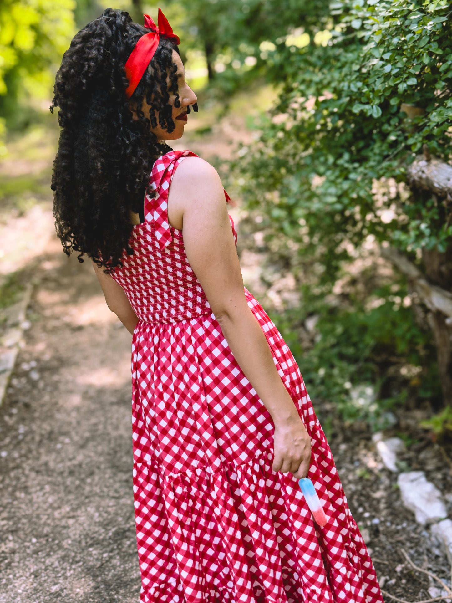 Grenadine Gingham ~ Lenora Dress