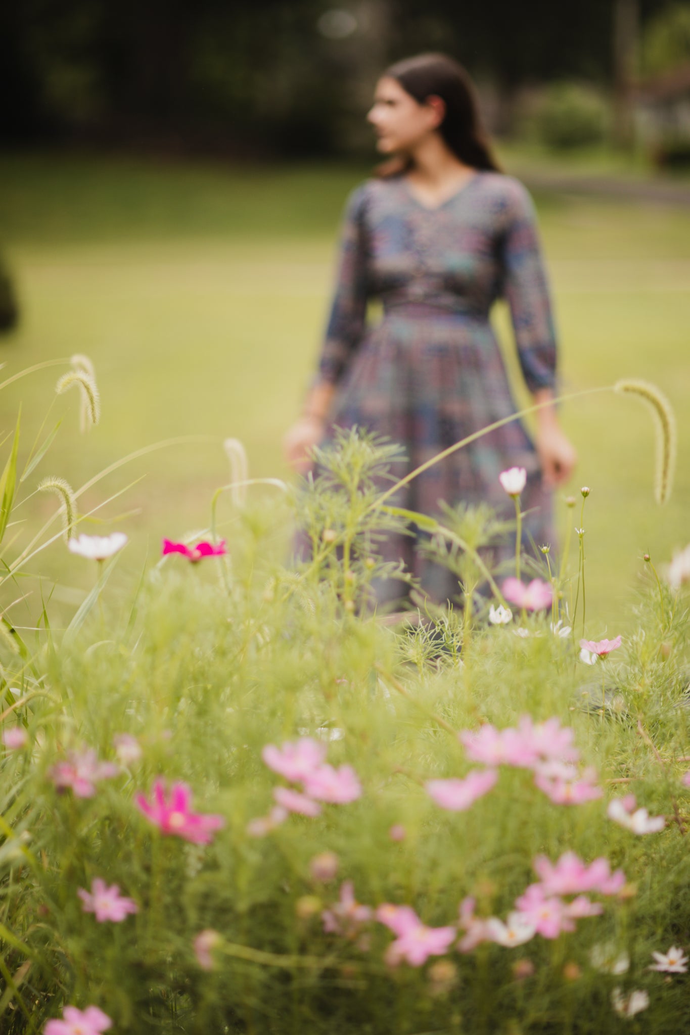 Hearthloom ~ Hinterland Dress