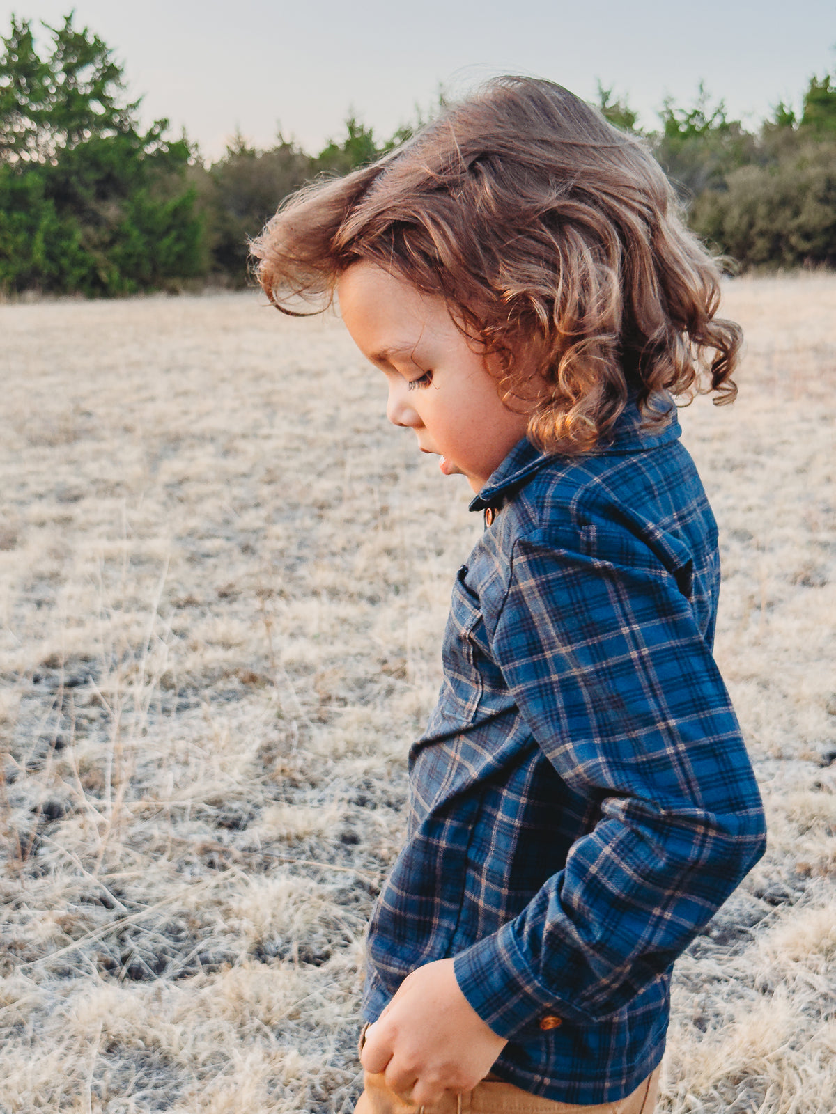 Marlowe ~ Boy's Brave Button-up
