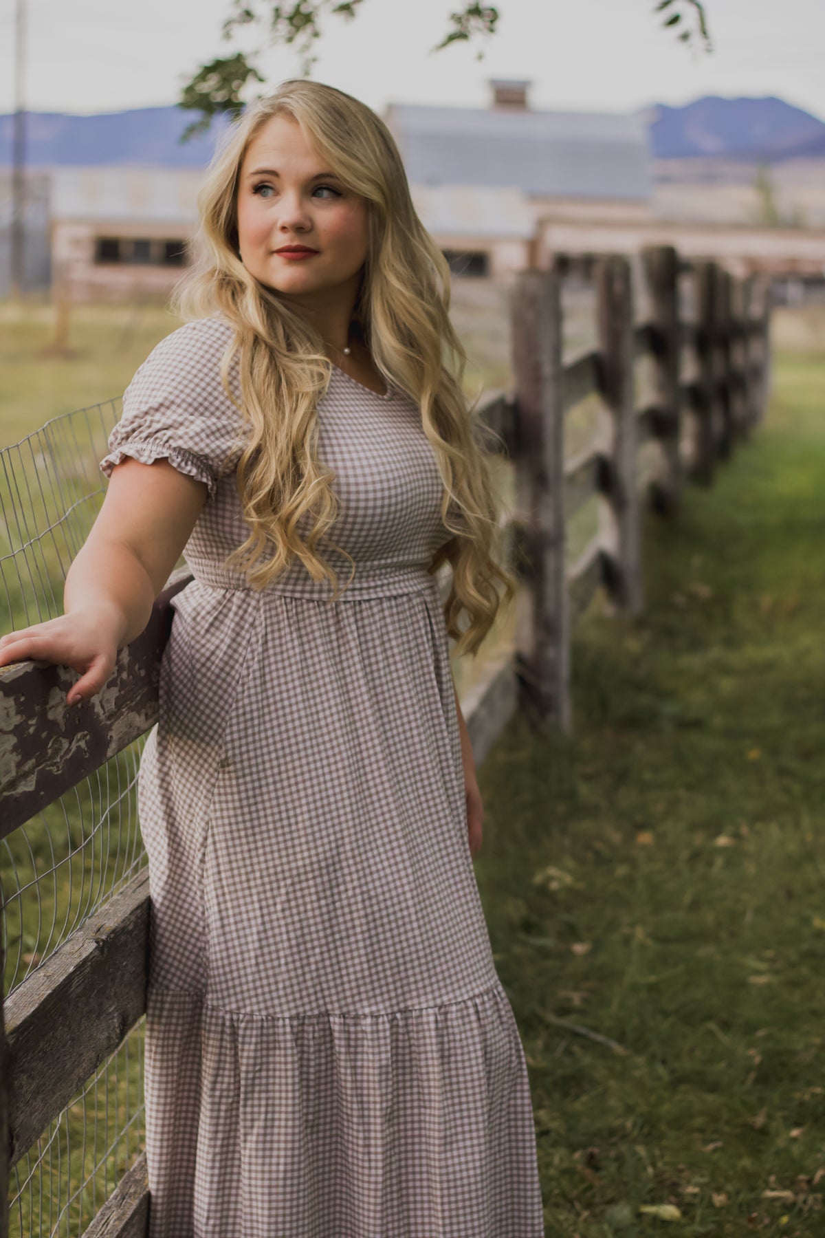 Nutmeg Gingham ~ Storybook Dress