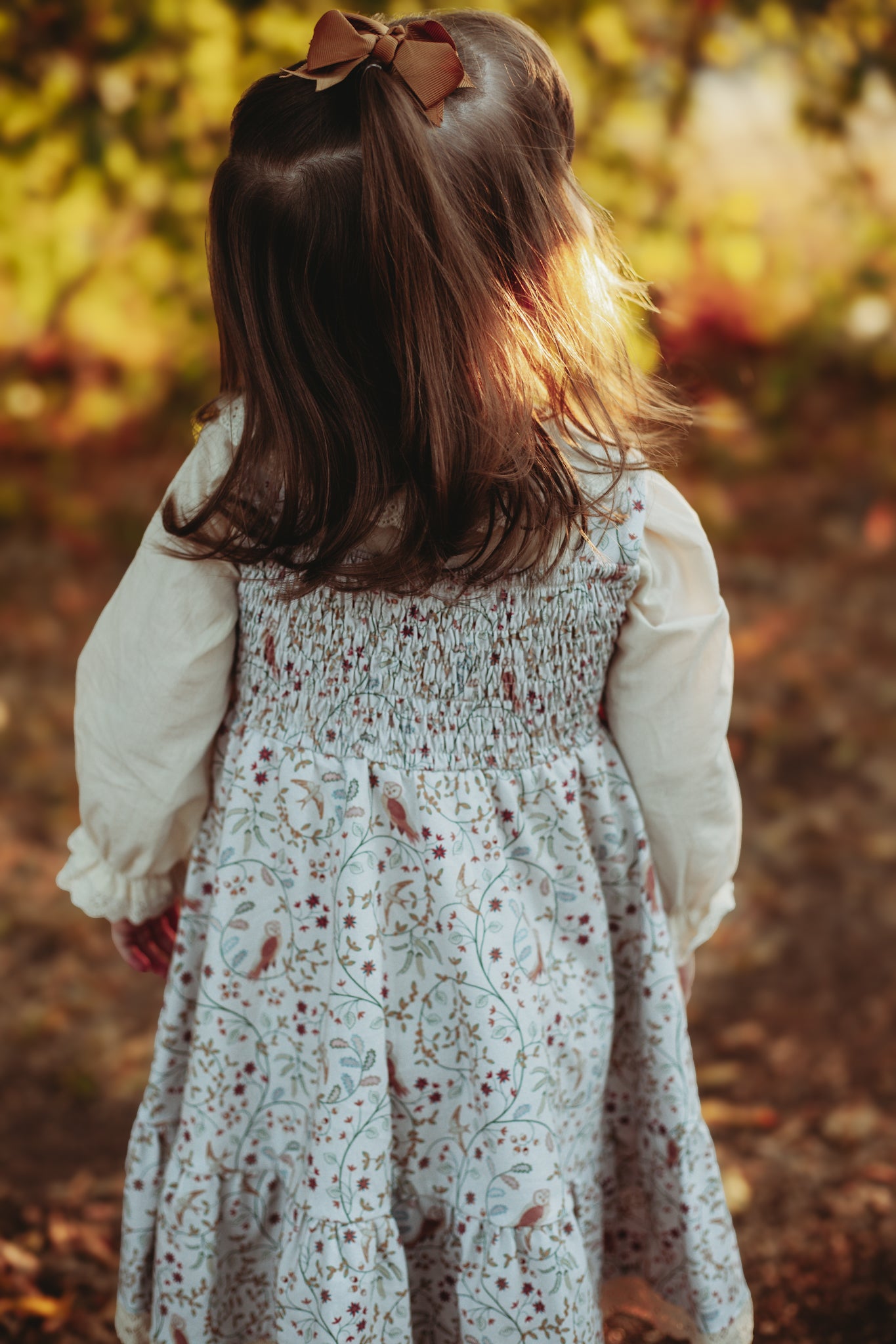 Owlsong ~ Mini Pinafore Dress & Shirt Set